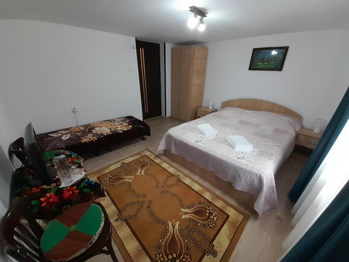 Casa Dumitru Si Elena Ciocanesti Bucovina Exterior foto